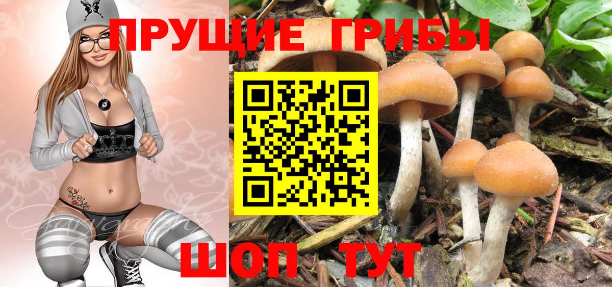 Псилоцибиновые грибы ЛСД Нефтекамск